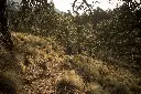 _MB_4955.webp