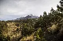 _MB_4993.webp