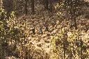_MB_4962.webp