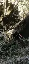 134496694_1643093712529434_7911848462276452371_n.webp