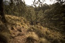 Tour Pico de Orizaba - Ruta Sur | Turismo de Aventura en las Altas Montañas